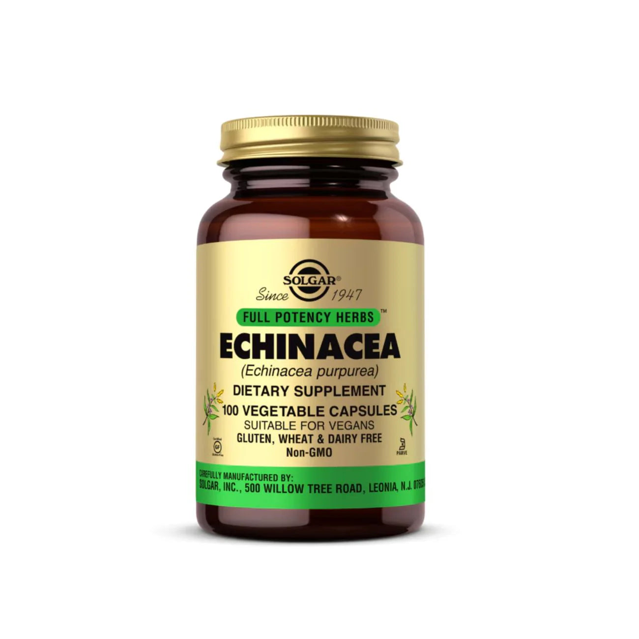 Solgar Echinacea