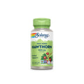Solaray Hawthorn Berries Crataegus Oxycantha 525mg
